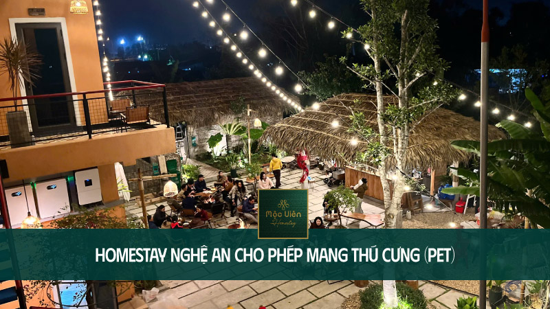 homestay cho ph&eacute;p mang th&uacute; cưng uy t&iacute;n