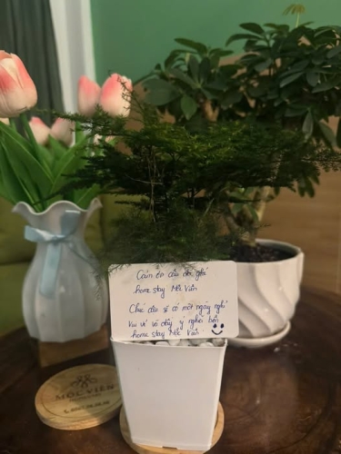 Ấm áp, bình an cuối tuần